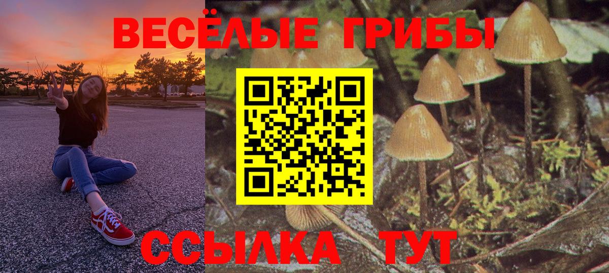 Галлюциногенные грибы мицелий Новокубанск