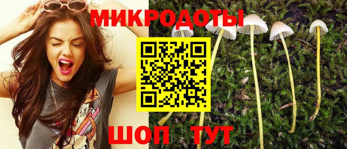 Галлюциногенные грибы Magic Shrooms  Вход с VPN  купить   Новокубанск  Галлюциногенные грибы Psilocybe 